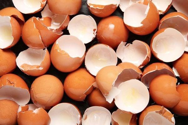 Avusturalyalı bilim insanları batarya üretiminde yumurta kabuklarının kullanılabileceğini açıkladı