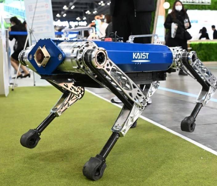 Güney Kore’li robot, 100 metreyi 19.87 saniyede koşarak Guinness Rekorlar Kitabı’na girdi