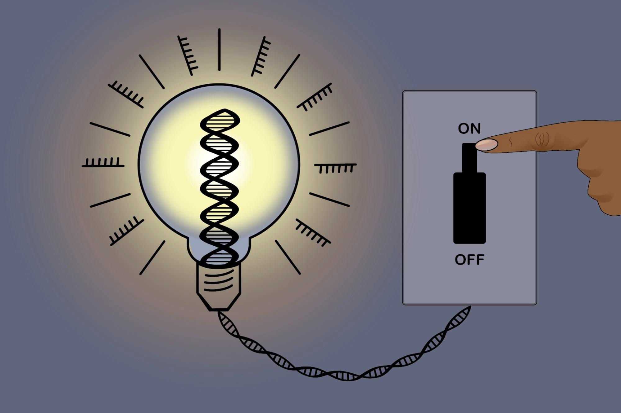 Işığı açıp kapatmak gibi: Bilim insanları genleri açıp kapatacak bir yol buldu