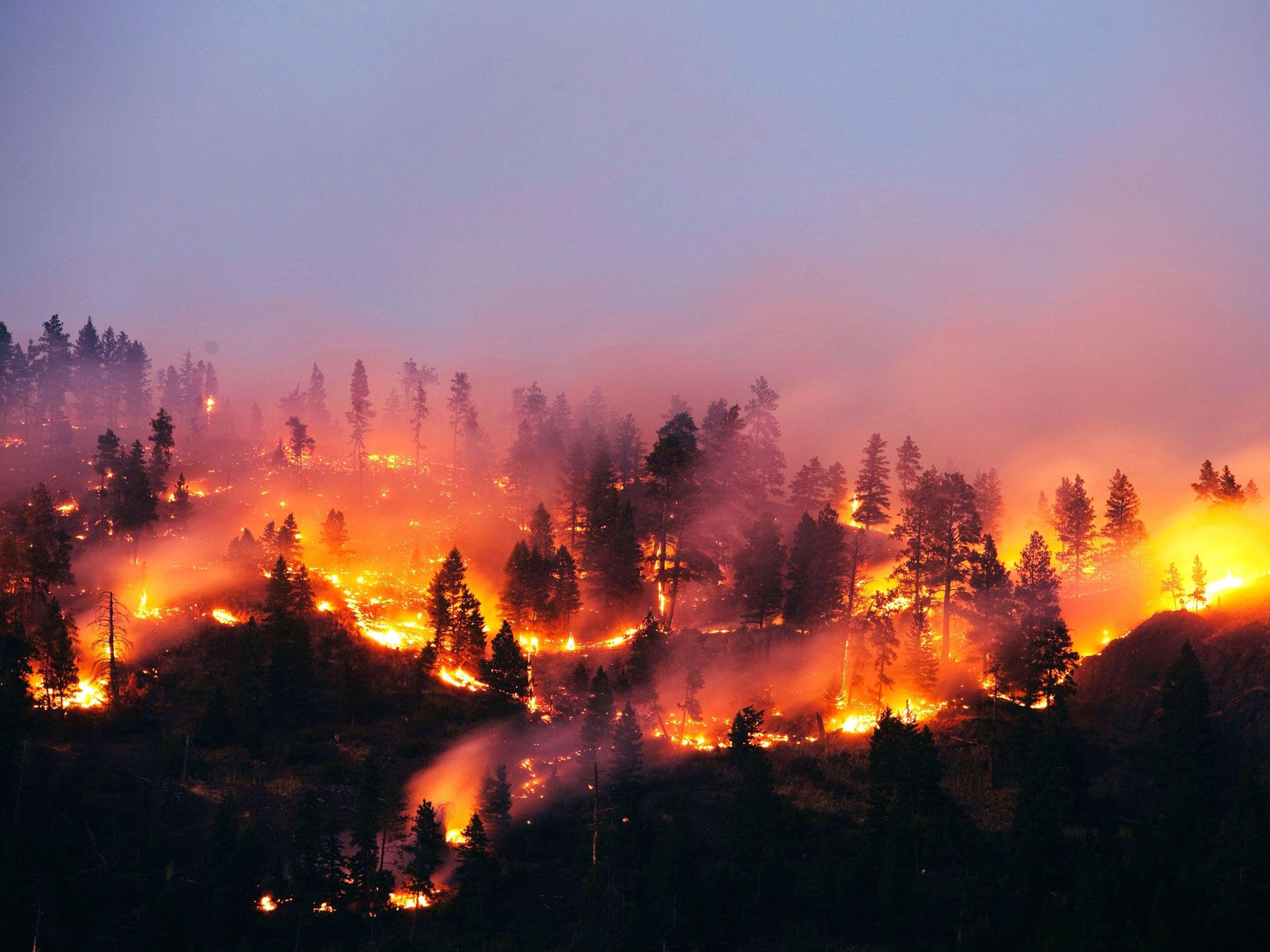 Orman yangınlarıyla mücadelede kullanılan yerli yapay zeka sistemi uluslararası ödüle aday