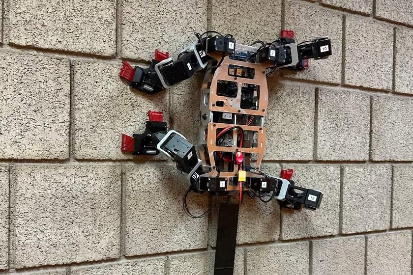Kertenkele benzeri bu robot, dik duvarlara rahatça tırmanabiliyor